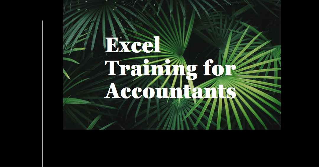 Excel Training for Accountants - A Resounding Success!